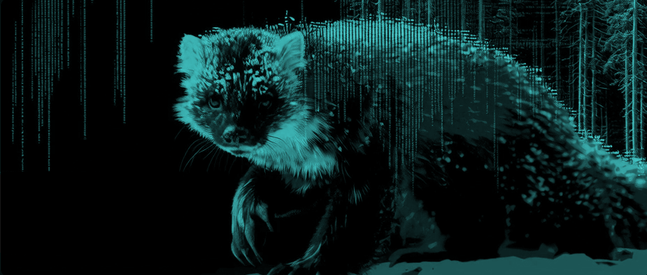 From Daily Driver to Live Boot: A SableLinux ISO Milestone